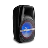 Kempler & Strauss Bafle JB 15''