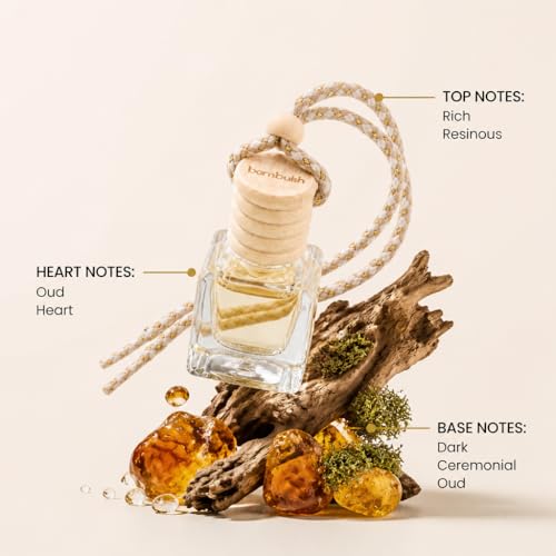 Image of Oud Mystique Car Air Freshener Hanging Perfume | Long Lasting Car Fragrance | Luxury Woody Scent with Bergamot, Patchouli & Vanilla Notes | Car Perfume for Car, SUV, Office & Home | 10ml