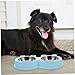 COLLBATH Non-Slip Dog Food Water Bowls Double Stainless Steel Pet Bowls for Cats Dogs Versatile