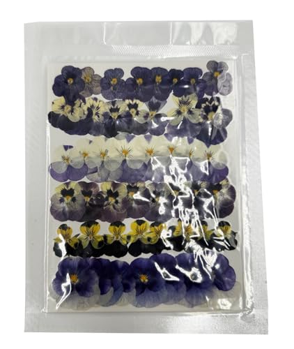 48 Piezas Flores Secas Naturales Viola Tricolor Mix miniatura 7