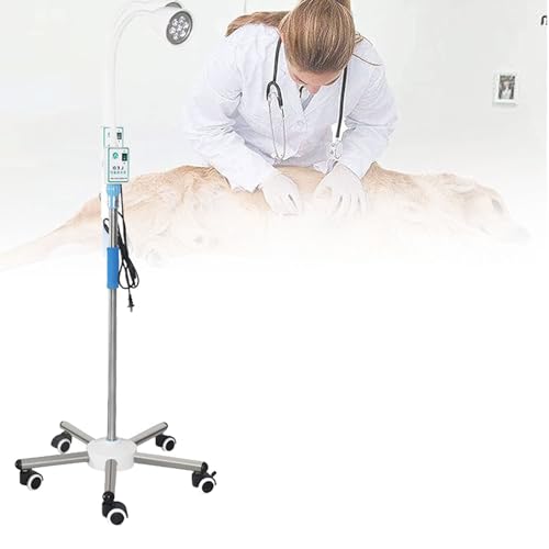 Lampe pour animaux de compagnie et chirurgie sur pied à éclairage LED