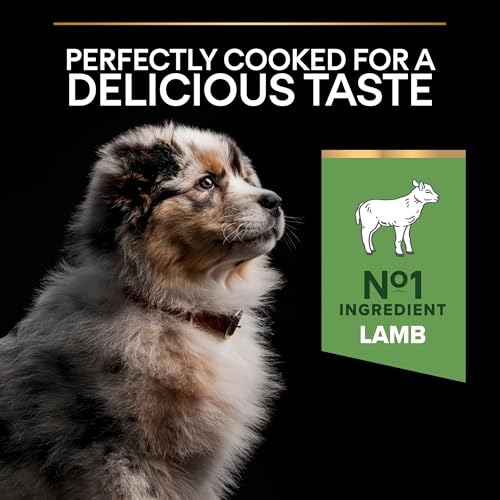 Pro Plan PURINA PRO PLAN Medium Puppy Sensitive Digestion, Welpenfutter trocken, reich an Lamm, 1er Pack (1 x 12 kg)
