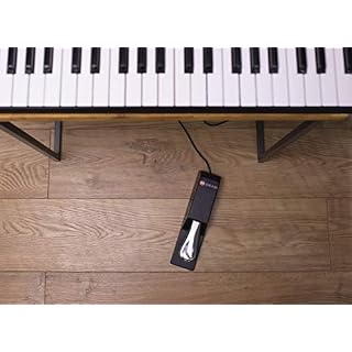 M-Audio SP-2 – Pédale de Sustain Universelle de Type Piano pour des Claviers Électroniques, Contrôleurs Midi, Pianos… - Les Beatles, Paul McCartney, John Lennon, RIngo Starr, George Harrison M-Audio SP-2 - Pédale de Sustain Universelle de Type Piano pour des Claviers Électroniques, Contrôleurs Midi, Pianos… – Image 3