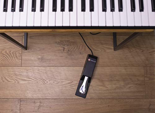 M-Audio-SP-2-Universal-Sustain-Pedal-with-Piano-Style-Action-The-Ideal-Accessory-for-MIDI-Keyboards-Digital-Pianos-Electronic-Keyboards-More