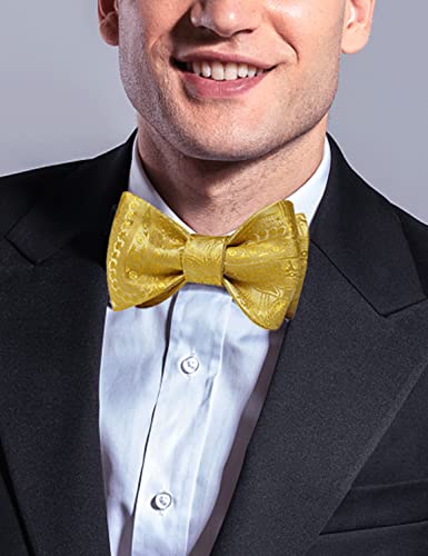 Image of DiBanGu Men Bow Tie Paisley Striped Self-Bow Tie for Men and Silk Woven Bowtie Pocket Square Cufflinks Wedding Party
