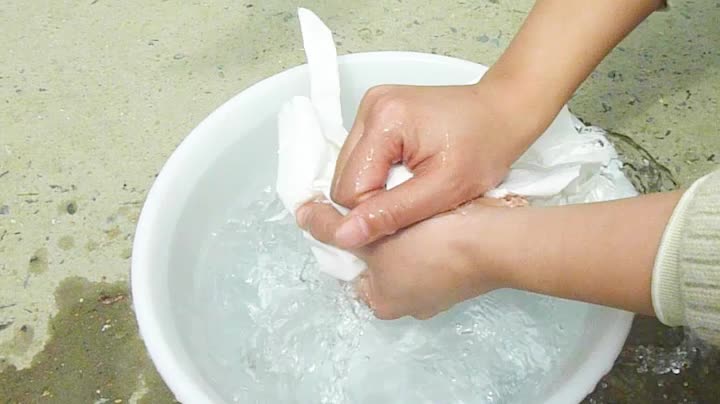 Fruit Protection Bags 50pcs Window White Protection Cover Bags 12.4X13.9inch, Fruit Bags for Fruit Trees, Orchard, Trees, Frost, Plants (12.4x13.9)