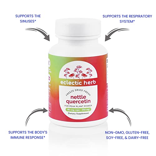 Eclectic Institute Raw Freeze-Dried Non-Gmo Nettle Quercetin Capsules | Sinus, Nasal, Immune Support | 90 Ct #TOP3