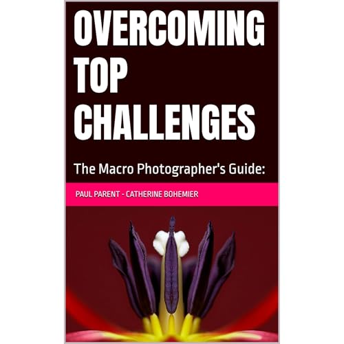 Overcoming Top Challenges by paul parent, Catherine Bohemier