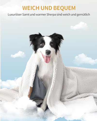 Hzuaneri wasserdichte Hundedecke, katzendecke für Katzen, Sherpa Fleece Haustier Decke für Mittelgroße und Große Hunde, Katzen, L, 150 x 127 cm, maschinenwaschbar, Beidseitiger Sofabezug-Schutz, Grau