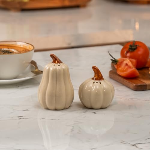Image of Pump & Plume Salt & Pepper Shaker Set - Set of 2 Handcrafted Ceramic Shakers - Minimal Tabletop Essentials for Everyday Dining