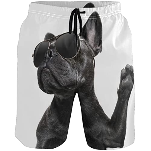 visesunny Cool Trendy Posing French Bulldog Summer Men's Swim Trunks Quick Dry Bathing Suits Beach Holiday Party Swim Shorts