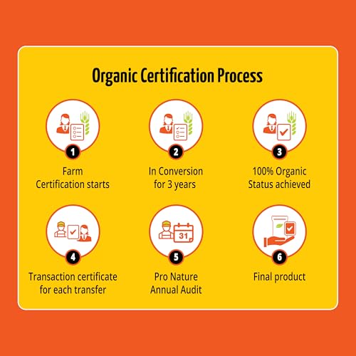 Pro Nature 100% Organic Cassia Bark Sticks -50g | Premium Dalchini Stick | Aromatic Whole Spices | Rich In Antioxidants | Everyday Cooking & Smoothies