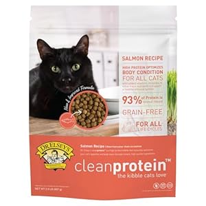 Dr. Elsey’S Cleanprotein Salmon Formula Dry Cat Food, 2 Pound (Pack of 1)