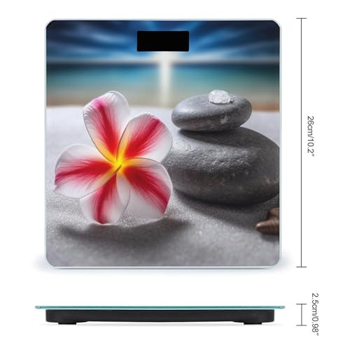 Báscula Digital de Baño 400 lb con Pantalla LCD miniatura 2