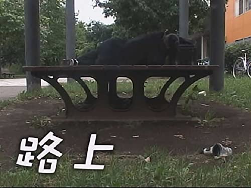路上 路上