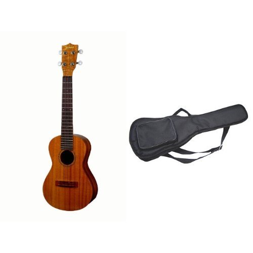 y\tgP[XZbgzFamous Ukulele ( tFC}X EN ) FC-4 RT[g TCY