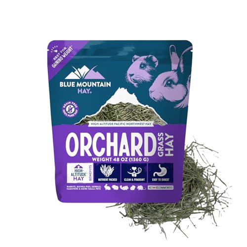 Blue Mountain Hay Orchard Grass Hay 48 oz