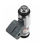 Material: Metal Viviance Inyector de Filtro de Combustible de Gasolina para 12.i 16V / Renault Clio II Kangoo Thalia Twingo S¨ªmbolo I