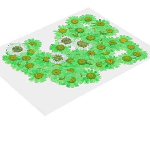 Flores secas prensadas naturales para manualidades, 60 unidades miniatura 1