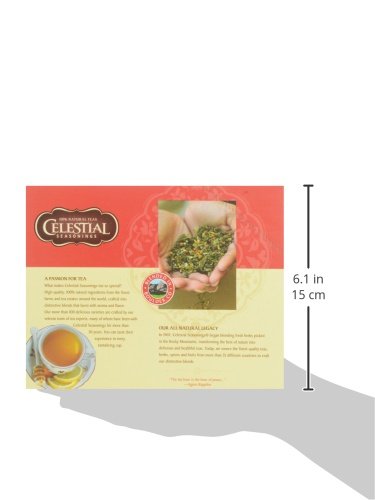 Celestial Seasonings Authentic Green Tea, 24 Count