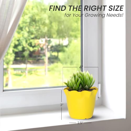 Image of YUCCABE ITALIA SHERA 4 Inch Plastic Flower Pot 12 Piece Set of Unbreakable Round Shape Planter for Home Garden Seedling, Indoor and Outdoor (Yellow)