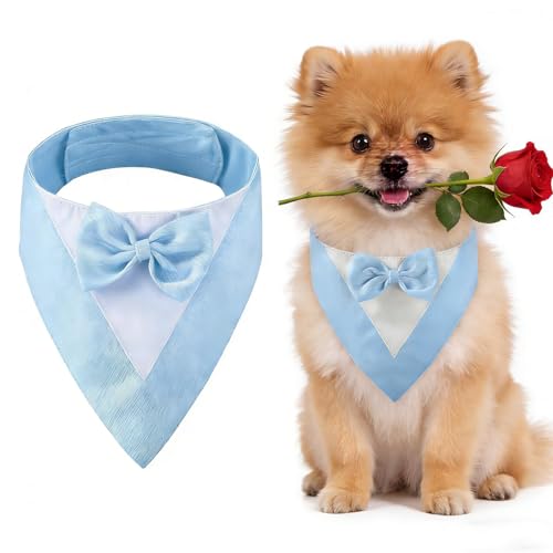 Hundesmoking, Hundehochzeit Bandana Kragen mit Fliege Kleine Hunde Hundesmoking Hundekostüme für kleine Hunde Hundeanzug Kostüm für Hunde Verlobung, Hochzeit, und Geburtstag (Hals:20-30cm/Blau)