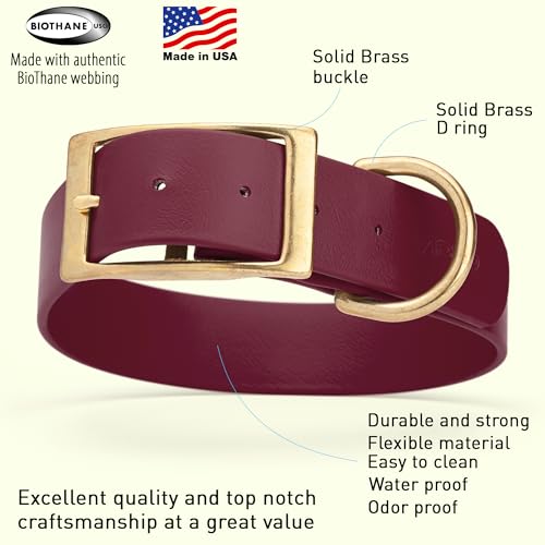 Image of Viper Biothane Heavy Duty Waterproof Dog Collar Strong Coated Nylon Webbing w /Solid Brass Hardware Odor-Proof Easy to Clean High Performance Fits Small Medium or Large Dogs, Merlot Burgundy