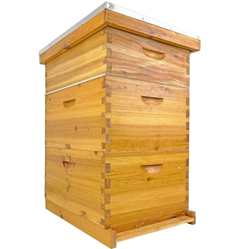 10 Frame Beehive Boxes 3 Layer Langstroth Kit