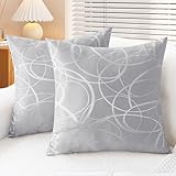Pack of 2 CaliTime Cushion Covers Throw Pillow Covers Cases for Couch Sofa Home Decor, Modern Circles Rings Geometric, 20 X 20 Inches, Silver Gray