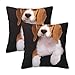 Zestaw 2 poszewek na poduszki, nadruk Ovely Pet Dog Beagle, dekoracyjna poszewka na poduszkę, na sofę, do samochodu, salonu, sypialni