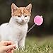 FRCOLOR 6pcs Cat Teaser Wands Cups Interactive Cat Toys for Playful Kittens Includes Springs and Bells for Exercise and Bonding