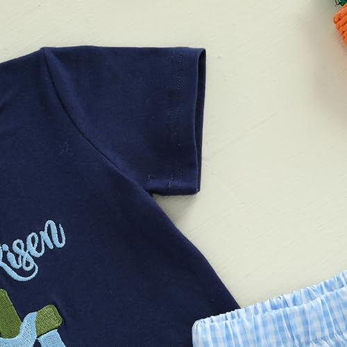 Image of Toddler Baby Boy Easter Rabbit Outfit Short Sleeve Bunny Carrot Smocked T-shirt Elastic Waist Shorts Summer Clothes