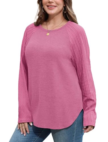 Image of SAMPEEL Sweatshirt for Women Long Sleeve Shirts Crewneck Sweaters Fall Fashion Outfits 2025 Trendy Tunic Tops Plus Size