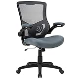 Office Chair Desk Chair Computer Chair with Lumbar Support Flip Up Arms Modern Task Adjustable Swivel Rolling Executive Mesh Ergonomic Chair for Back Pain, Grey
