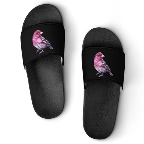 Purple Finch Bird Non Slip Slides Sandals for Women Men Quick Drying Shower Shoes for Bathroom Pool Beach