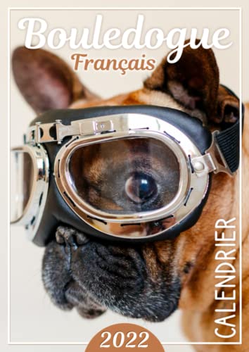 Calendrier 2022 Bouledogue Français: Calendrier grand format A4 | Idée cadeau pour les amoureux des chiens de race bouledogue français | 12 mois de janvier à décembre 2022 pour planifier votre année !