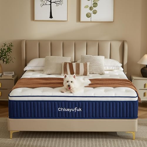 Chiusyufuk Twin Mattress,10 inch Twin Size Mattress,Hybrid mattresses,Single,Gel Memory Foam...