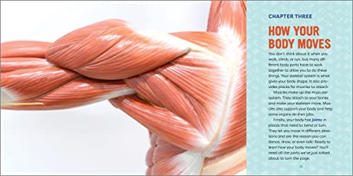 Human Anatomy for Kids: A Junior Scientist's Guide to How We Move, Breathe, and Grow