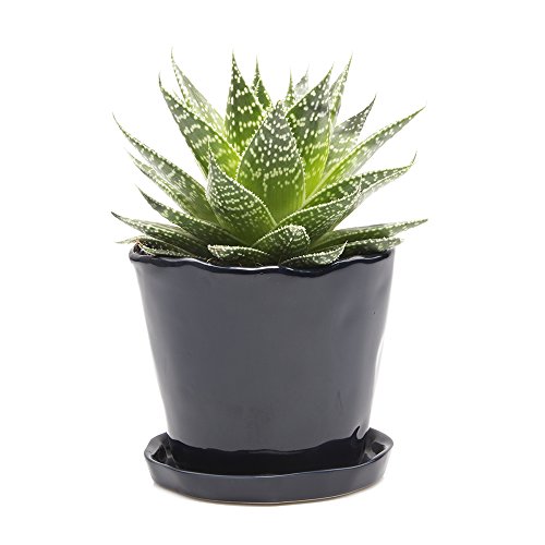 Chive ‘Tika’ Big Succulent Pot — 5” Cute Planter Pots For Indoor Plants — Beautiful Modern Decor For Home & Kitchen — Midnight Blue #TOP5