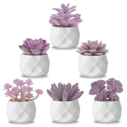 ZINHO Fake Succulent Plant Set 6 PCS Artificial Succulent Plants for Desk Realistic Faux Succulents in Plastic Pots Mini Colorful Succulent Decor for Bedroom Bathroom Office Shelf Decor (Purple)