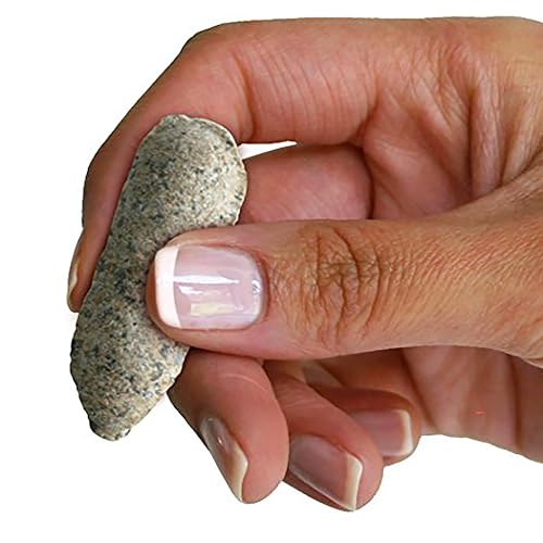 Jobe’s Organics Garden Fertilizer Spikes, Easy Plant Care Fertilizer for Fruit and Citrus Plants and Trees, 6 Count