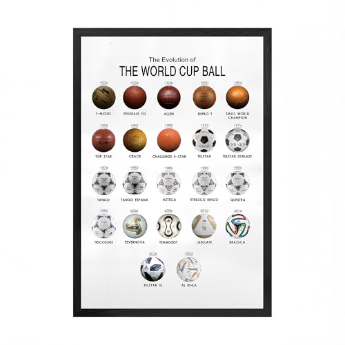 Mofesun World Cup Soccer Ball Evolution Poster 8