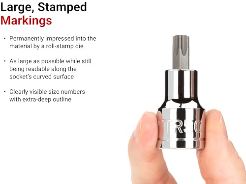 Image of TEKTON 3 /8 Inch Drive x TR15 Tamper-Resistant Torx Bit Socket | SHB17215