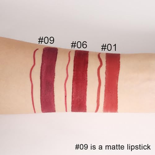 Evpct 1Pcs Dark Wine Red Lip Liner And Lipstick Set Kit For Women Dnm Matte Lips Kit With Lip Liner Lip Stains Long Lasting Waterproof 24 Hour Lipstick And Lip Liners Combo Lipliners Pencil Set 09# thumb #3