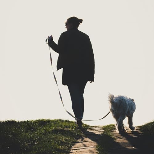 Dog Park proposed for Kingston