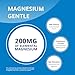 CanPrev Magnesium Bis-Glycinate Gentle 200mg, 120 V-Caps 120-Day Supply - Pure Elemental Magnesium Supplement, Supports Bone and Muscle Function, Gentle on Stomach, Perfect for Daily Magnesium Needs