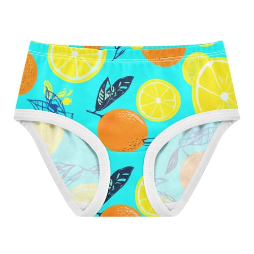Lemon Slices Orange Leaves Blue Girls Underwear Toddlers 2t Cotton Panties for Girl Personalized Briefs Kids Undies