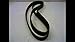 Gates 8Mgt-2240-36 Poly Chain Gt2 Carbon Belt 36Mm Width 2240Mm Length 8Mgt-2240-36