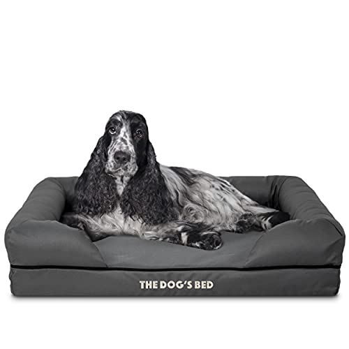 The Dog’s Bed Medium Oxford Grey 30x23.5, Memory Foam, Pain Relief: Arthritis, Hip & Elbow Dysplasia, Post Surgery, Lameness, Supportive, Calming, Waterproof Washable Cover, Veterinary Approved