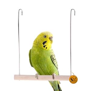 Sage Square Playful Natural Perch Wood Perch Swing Toy Cage Hanging Platform, Climbing, Exercise Perch for Birds (Small)